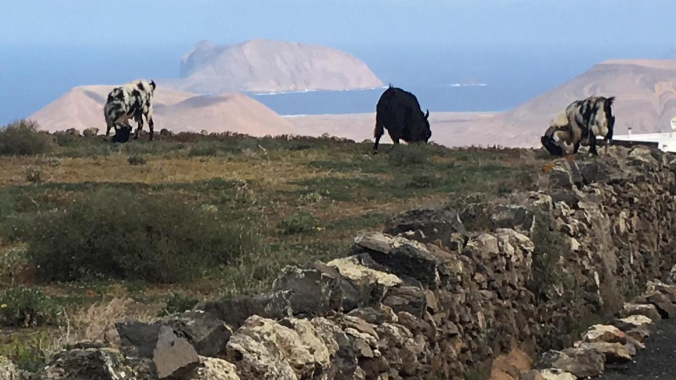 Casa Vereda Del Risco Ye Εξωτερικό φωτογραφία